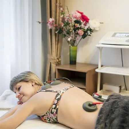호텔 Interhotel 카를로비바리