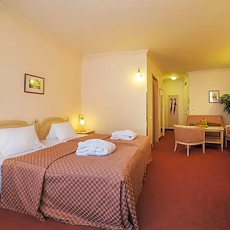 Hotel Interhotel 4*